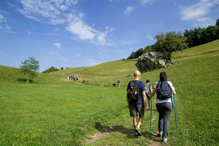Wandern in der grünen Natur