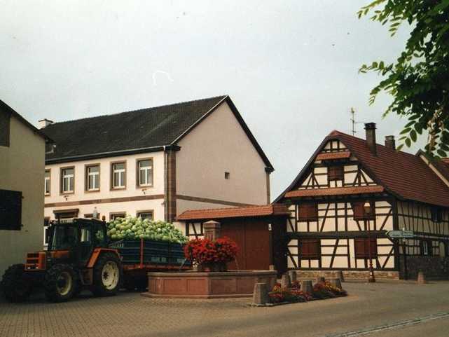 Geispolsheim an der Route de la Choucroute