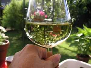 Serviertemperatur elsässer Wein