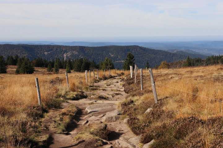 Wanderweg über die Hochweiden am Gazon du Faing in den Vogesen