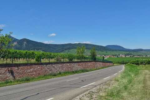 Weinberg und Landstraße entlang der Elsässischen Weinstraße mit Blick auf die Vogesen