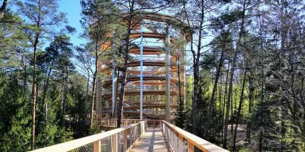 Baumwipfelpfad Elsass