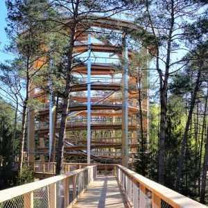 Baumwipfelpfad Elsass