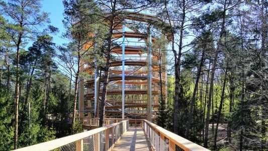 Baumwipfelpfad Elsass