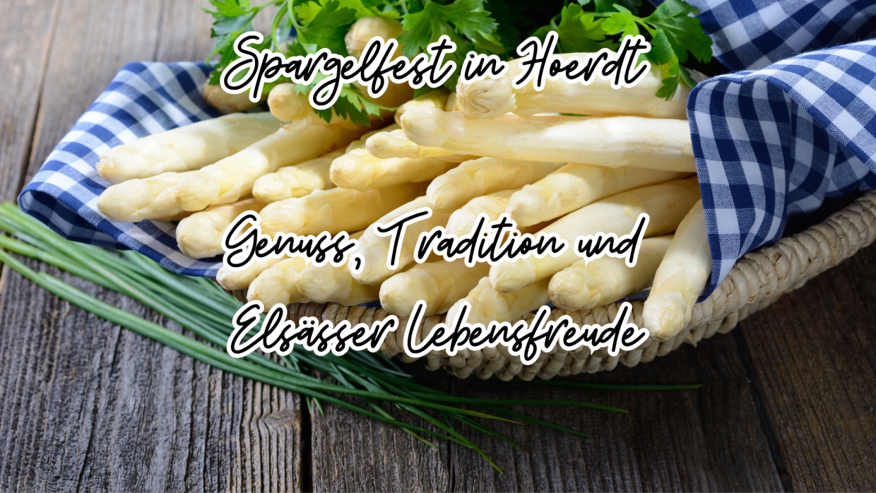 Dein Abschnittstext (2)