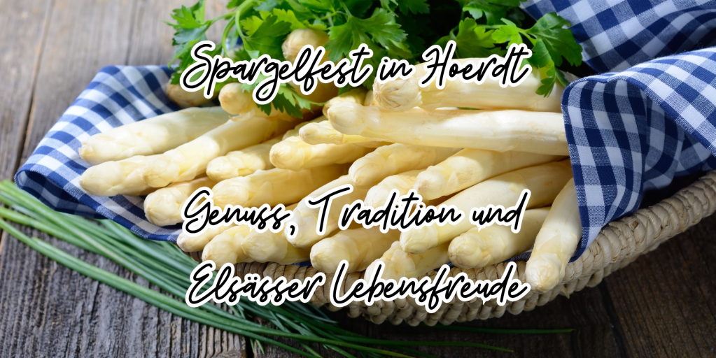 Dein Abschnittstext (2)