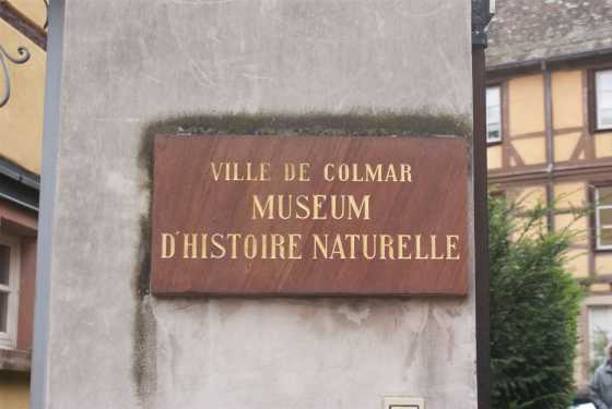 Eingangsschild des Naturkundemuseums Colmar (Musée d’Histoire Naturelle) an der Fassade des Museums