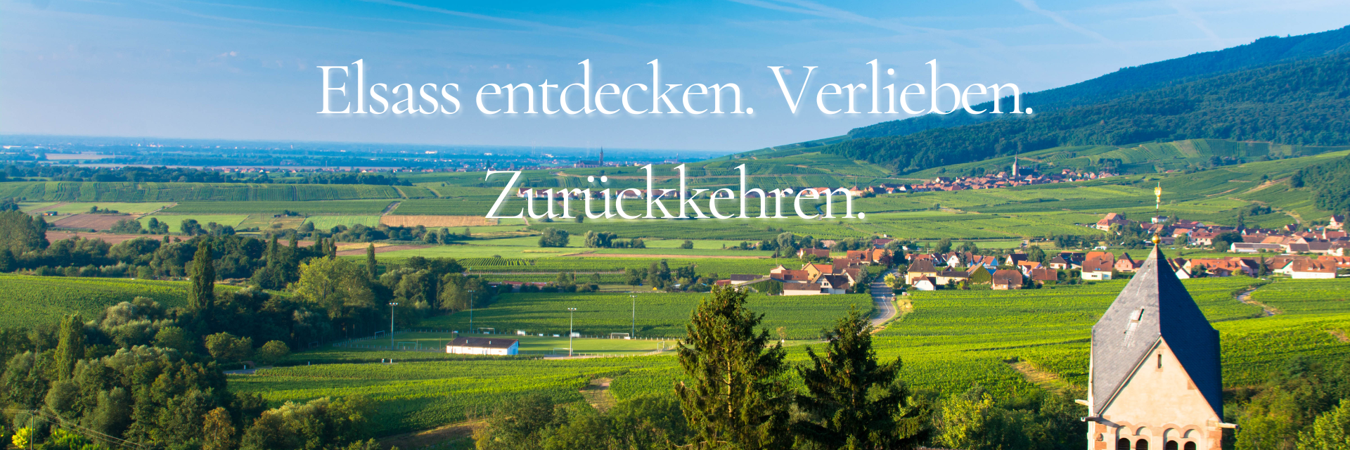 Elsass entdecken, Verlieben. Zurückkehren. - Blick auf die Weinstraße