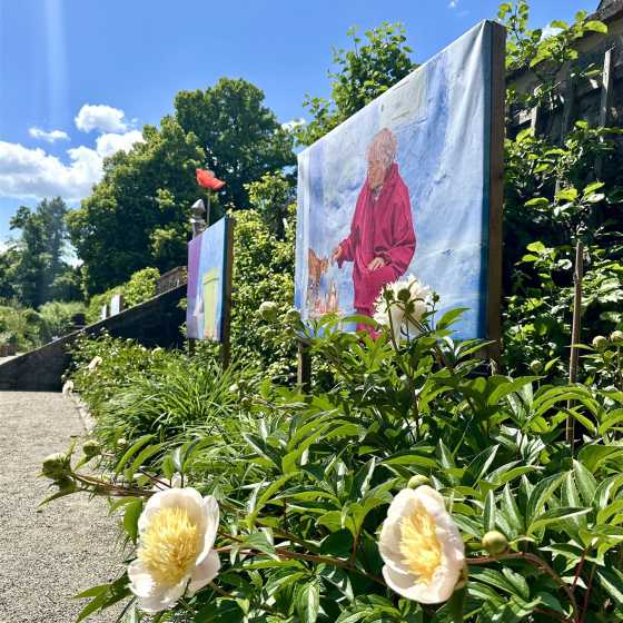 Weiße Pfingstrosen im Vordergrund, dahinter Kunstinstallationen mit farbigen Bildern im Garten des Parc de Wesserling, Elsass
