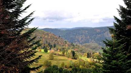 Herbstfarben in den Vogesen