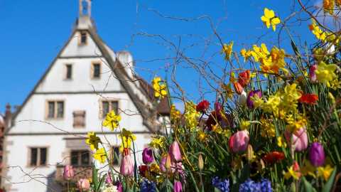 Frühlingsblumen vor einem Fachwerkhaus in Obernai