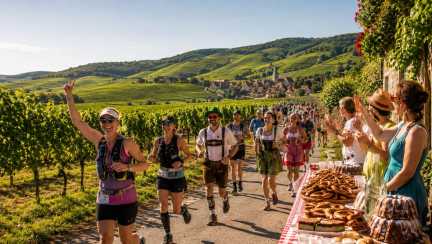 Lauf durch die Weinberge bei Feststimmung