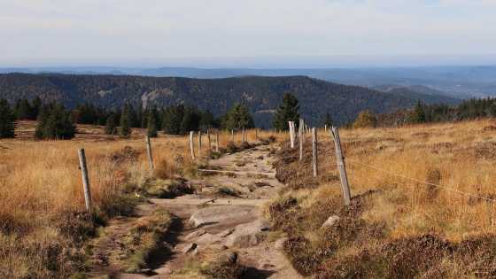 Wanderweg in den Vogesen im Elsass – ideale Landschaft für Wanderungen