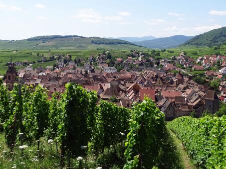 Blick auf Riquewihr