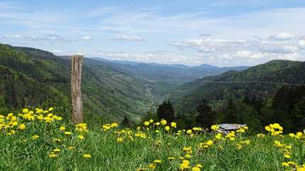 Blick vom Col du Bonhomme ins Val d’Argent bei Sainte-Marie-aux-Mines in den Vogesen