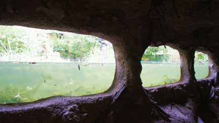 Blick aus dem unterirdischen Bereich in das Wasserbecken im NaturOParc Hunawihr