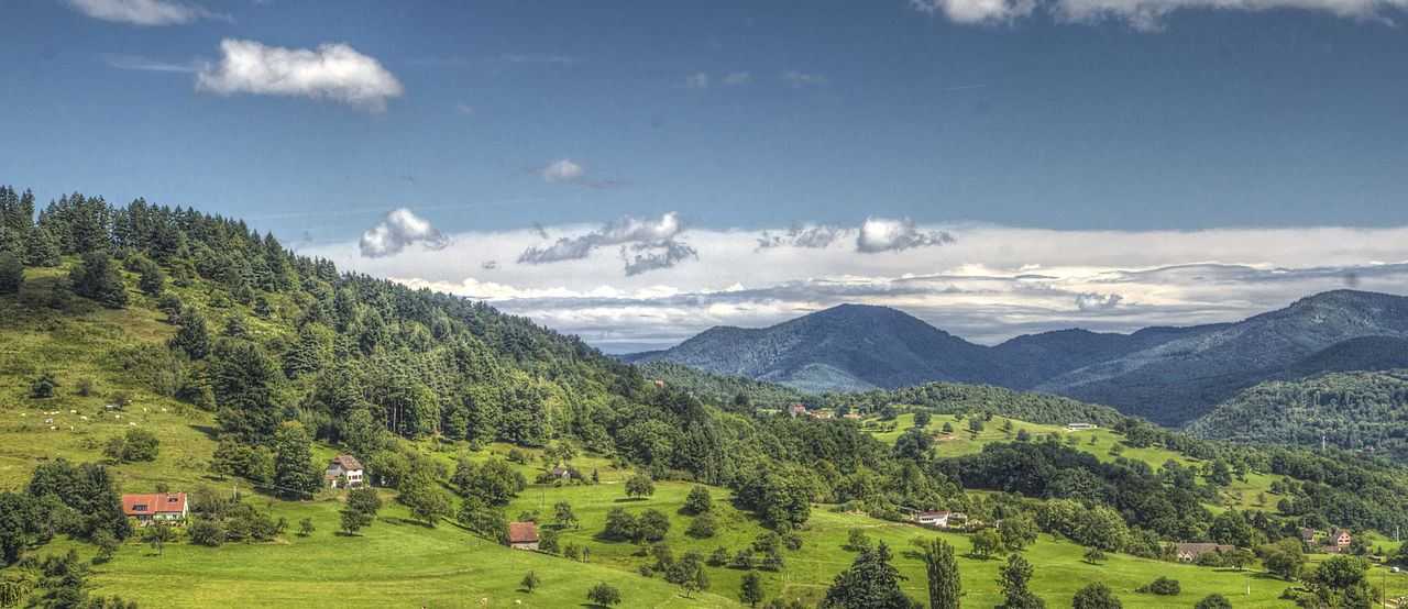 Vallée de Munster vue de Soultzeren