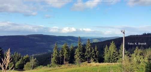 Blick über die Hochlagen der Vogesen mit bewaldeten Hängen und offenen Höhenzügen