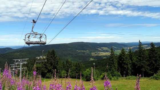 Sessellift über blühender Sommerwiese mit Blick auf die grünen Höhenzüge der Vogesen im Elsass