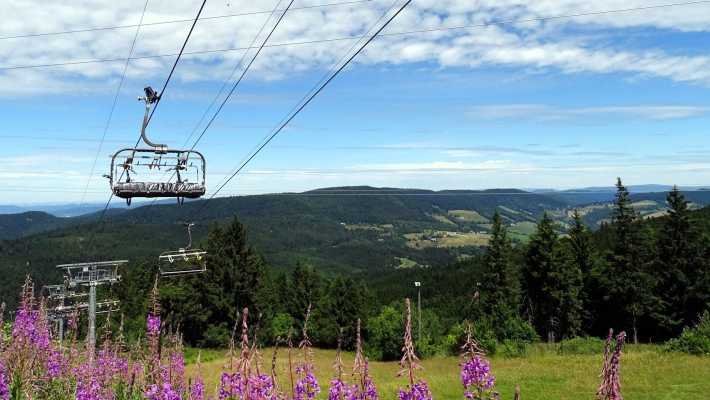 Sessellift über blühender Sommerwiese mit Blick auf die grünen Höhenzüge der Vogesen im Elsass