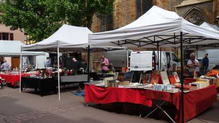 Flohmarkt in Colmar – bunte Stände mit Büchern und Antiquitäten im Elsass