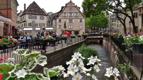 Colmar im Sommer – Fachwerkhäuser im Gerberviertel Quartier des Tanneurs