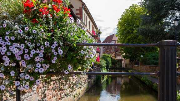 Wissembourg - Blick auf die Lauter